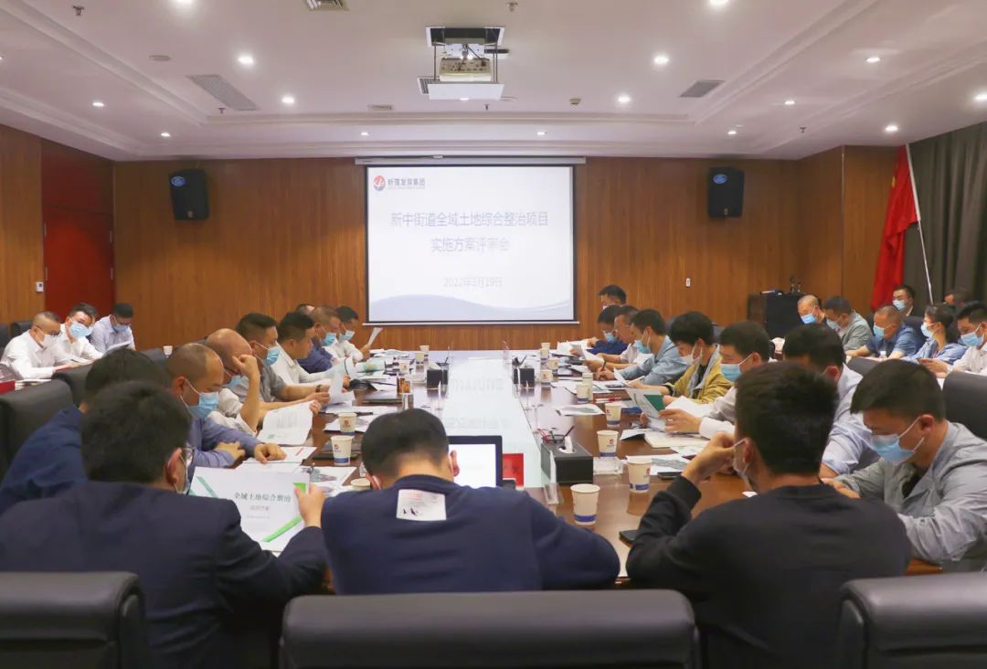 新中街道全域土地綜合整治項(xiàng)目實(shí)施方案評審會召開