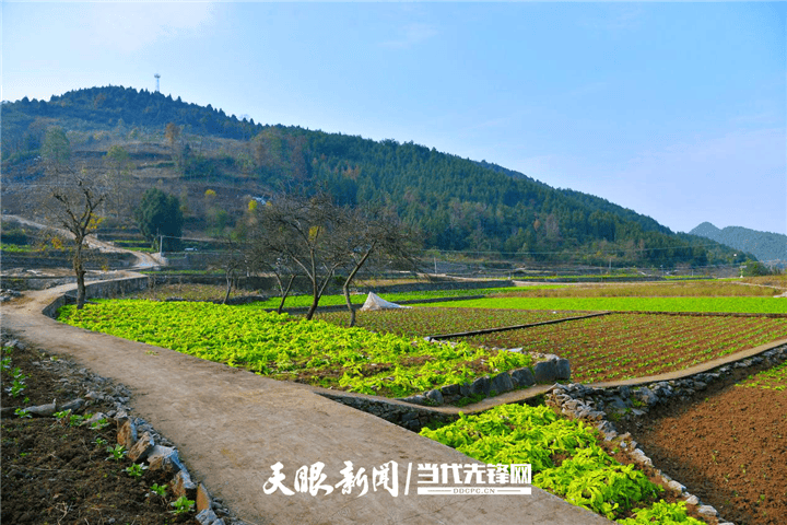 新蒲新區(qū)：壩區(qū)“提檔升級(jí)” 百姓致富有保障